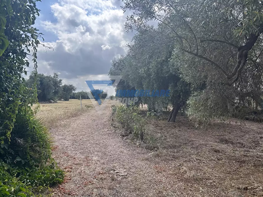 Immagine 18 di Terreno edificabile in vendita  in Traversa Masseria Gargallo a Siracusa