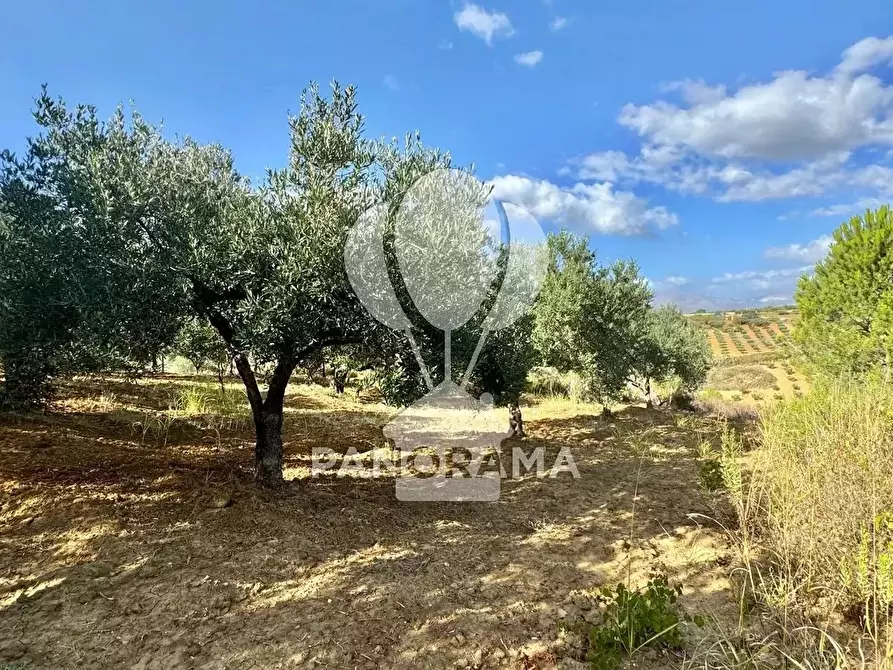 Immagine 23 di Terreno edificabile in vendita  in Contrada Casale a Alcamo