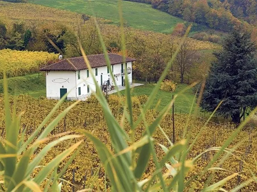 Immagine 1 di Terreno edificabile in vendita  a Santo Stefano Belbo