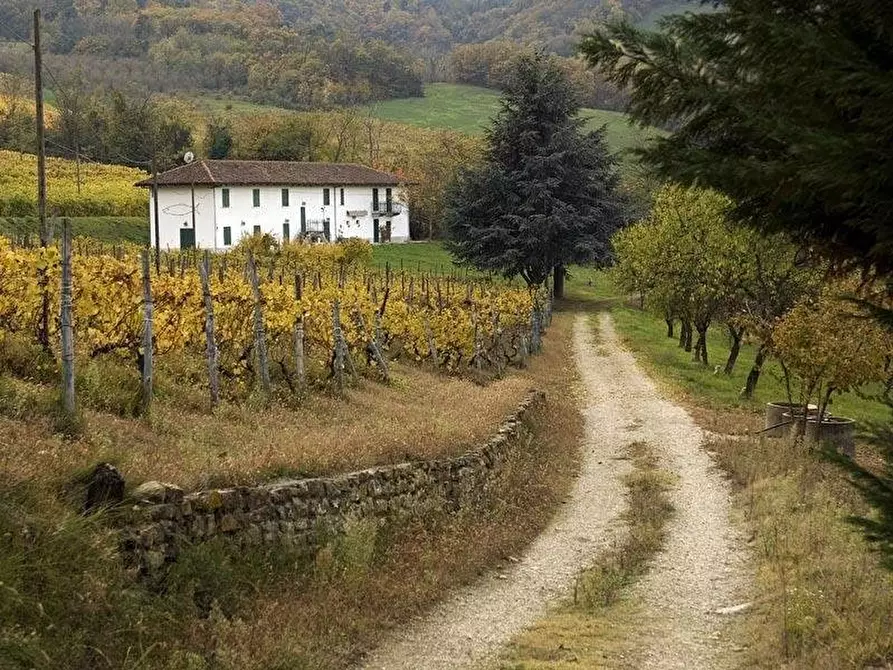 Immagine 2 di Terreno edificabile in vendita  a Santo Stefano Belbo
