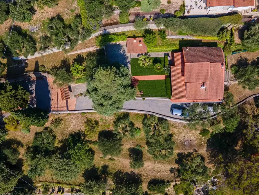 Immagine 3 di Terreno edificabile in vendita  in Strada degli Olandesi a Camporosso
