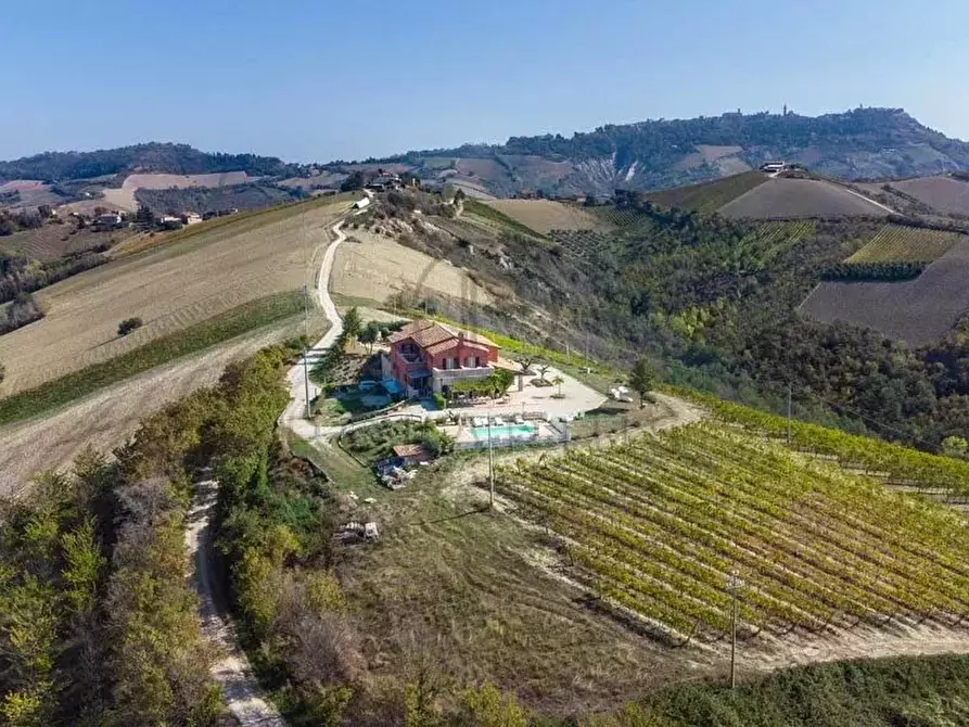 Immagine 3 di Terreno edificabile in vendita  in ripatransone a Ripatransone