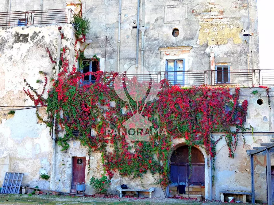 Immagine 4 di Terreno edificabile in vendita  in Contrada Fico a Alcamo
