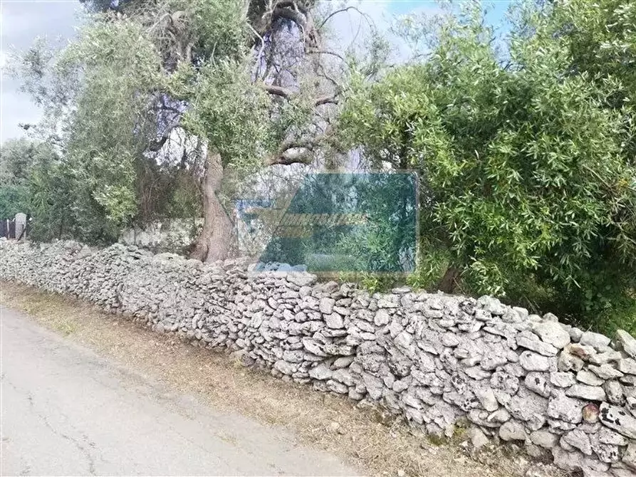 Immagine 1 di Terreno in vendita  a Siracusa