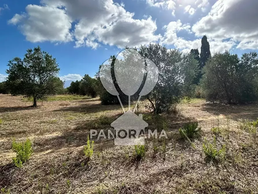 Immagine 22 di Terreno edificabile in vendita  in Strada Statale 113 a Partinico