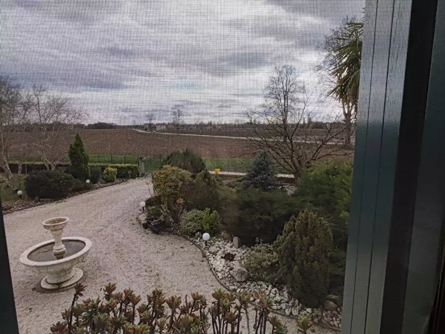 Immagine 5 di Terreno edificabile in vendita  a Codognè