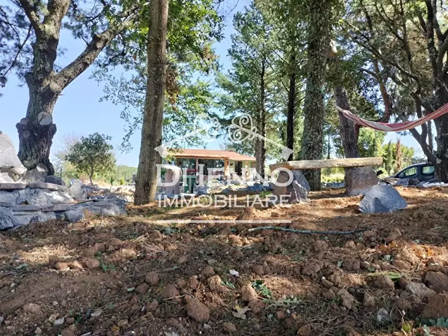 Immagine 62 di Terreno edificabile in vendita  in Strada Valle del Dragone a Arlena Di Castro