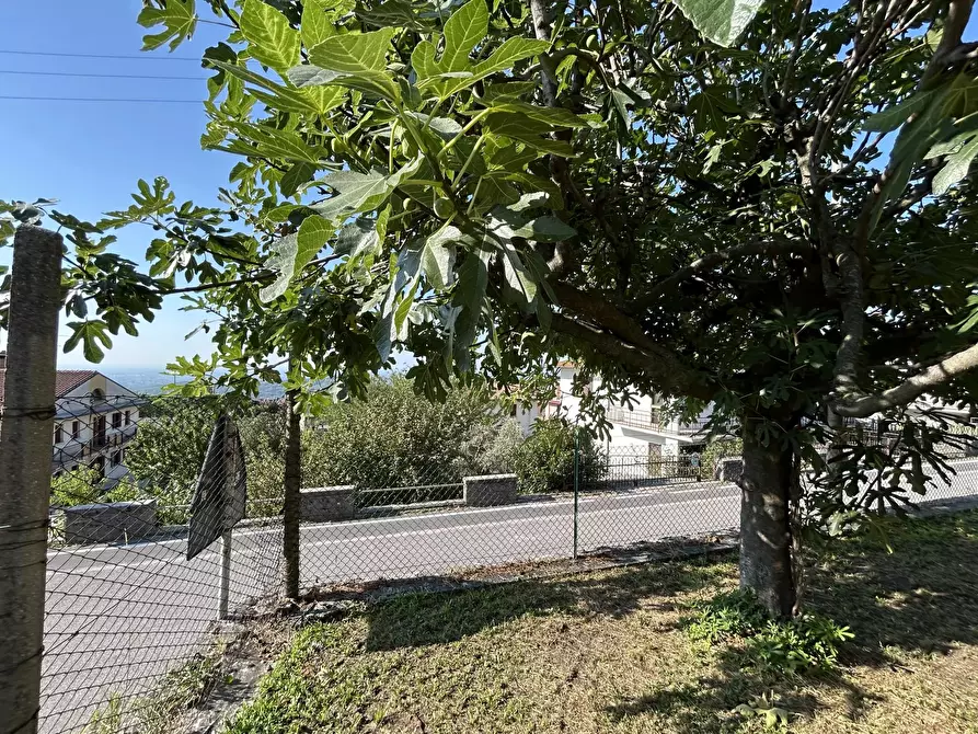 Immagine 48 di Terreno edificabile in vendita  a Cimadolmo