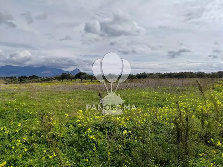 Immagine 9 di Attico in vendita  a Partinico