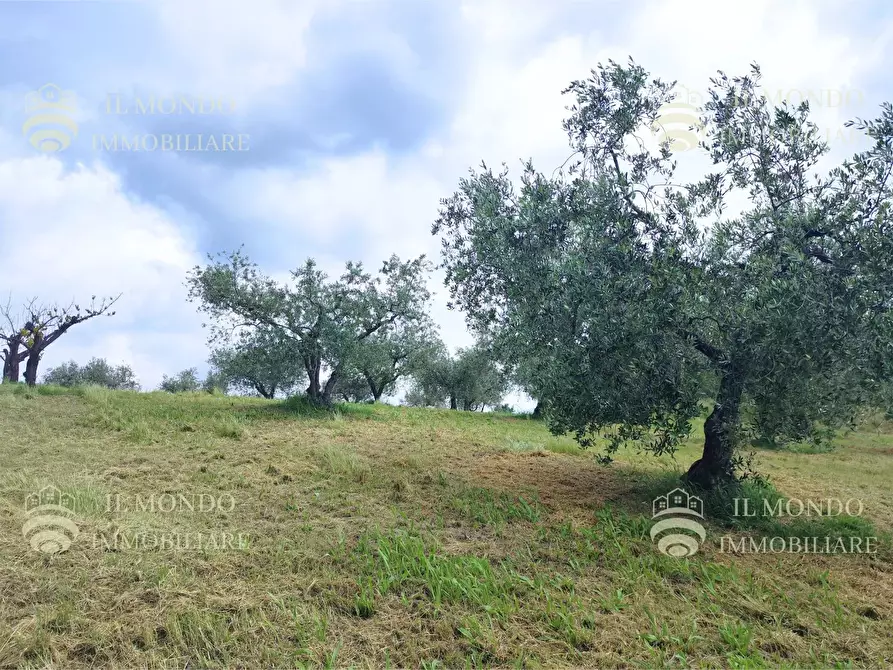 Immagine 26 di Casa bifamiliare in vendita  in Strada di Colle Fagiano a Palombara Sabina