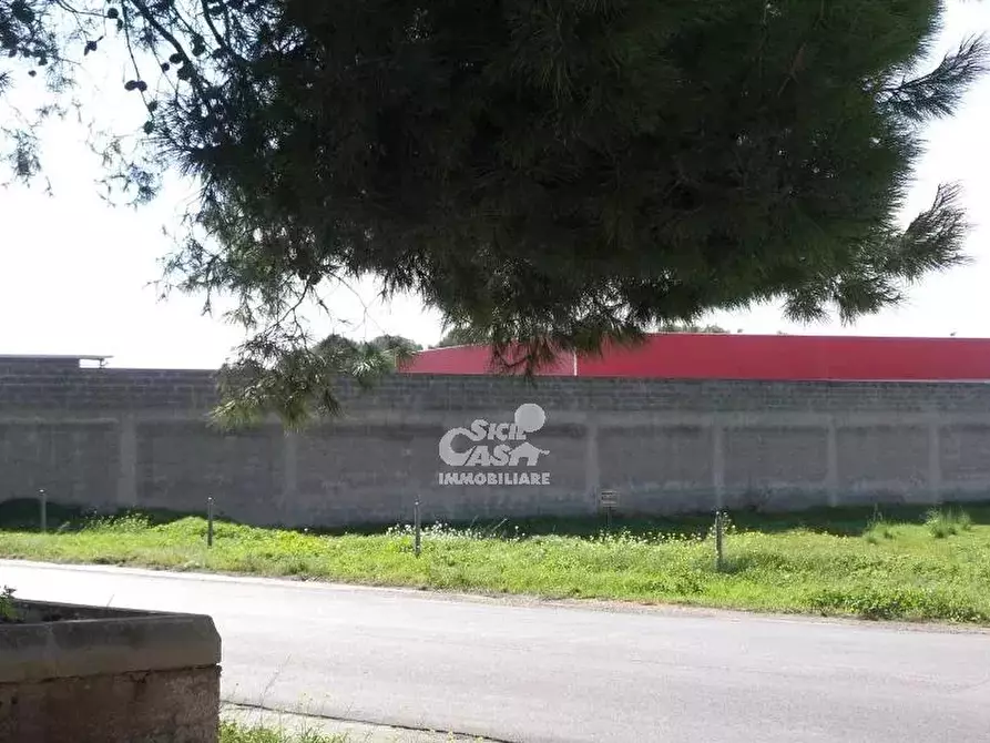 Immagine 2 di Terreno in vendita  a Marsala
