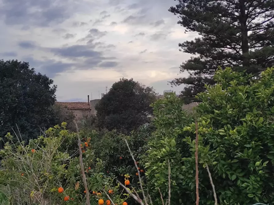 Immagine 12 di Terreno edificabile in vendita  a Condrò