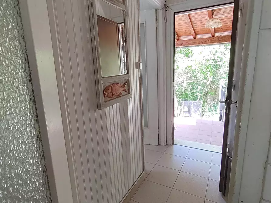 Immagine 6 di Terreno edificabile in vendita  a Apricale