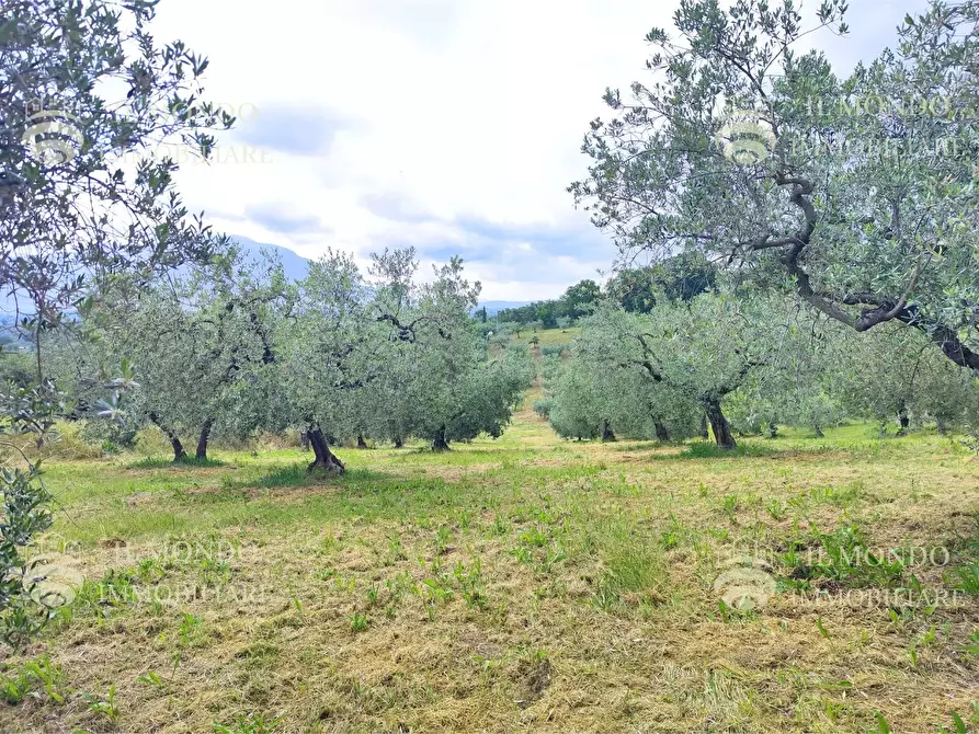 Immagine 8 di Casa bifamiliare in vendita  in Strada di Colle Fagiano a Palombara Sabina
