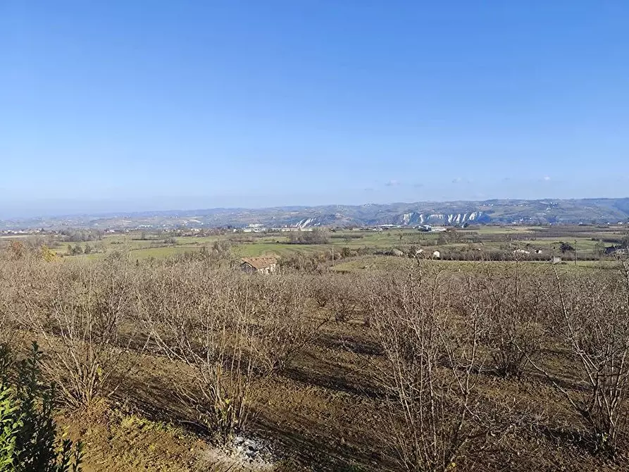 Immagine 9 di Terreno edificabile in vendita  a Carrù