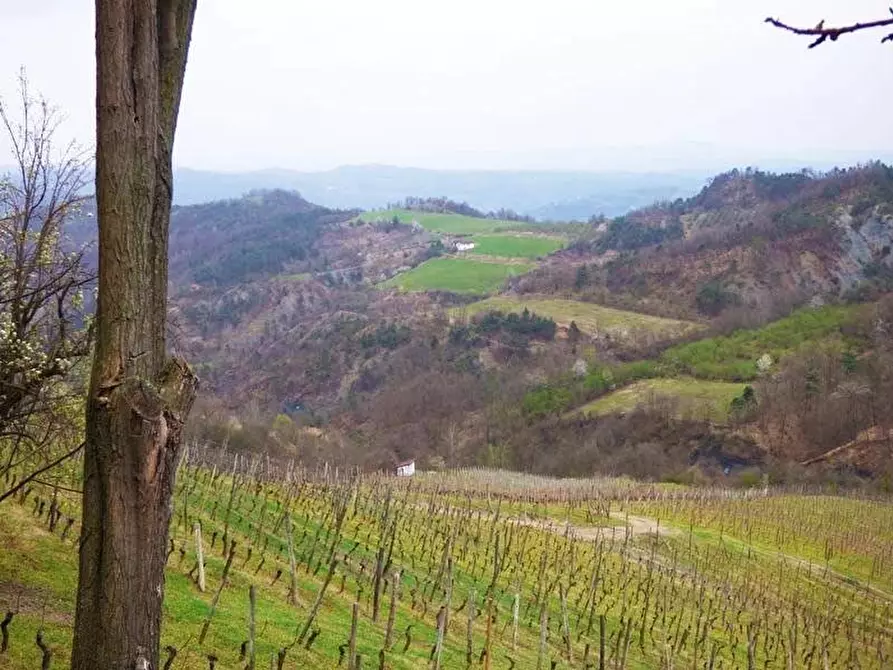 Immagine 9 di Attico in vendita  a Cassinasco