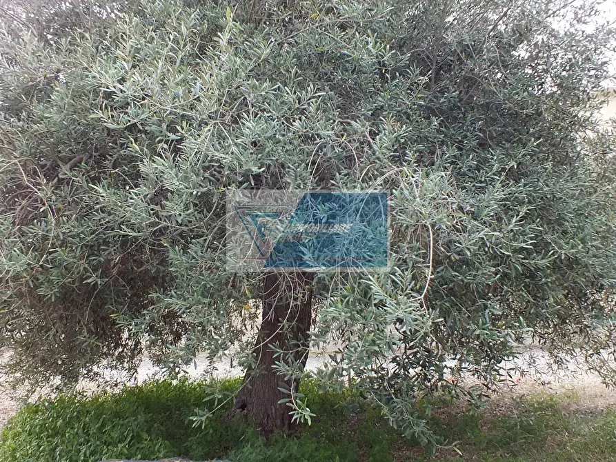 Immagine 10 di Terreno edificabile in vendita  in Via Lipari a Avola