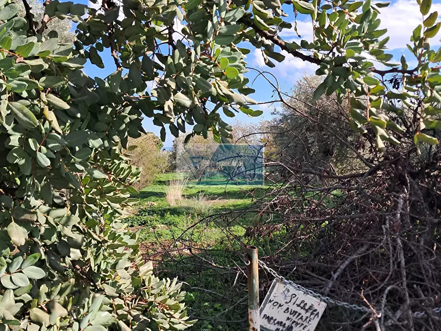 Immagine 4 di Terreno in vendita  in CONTRADA TALA PRIOLO GARGALLO a Buccheri