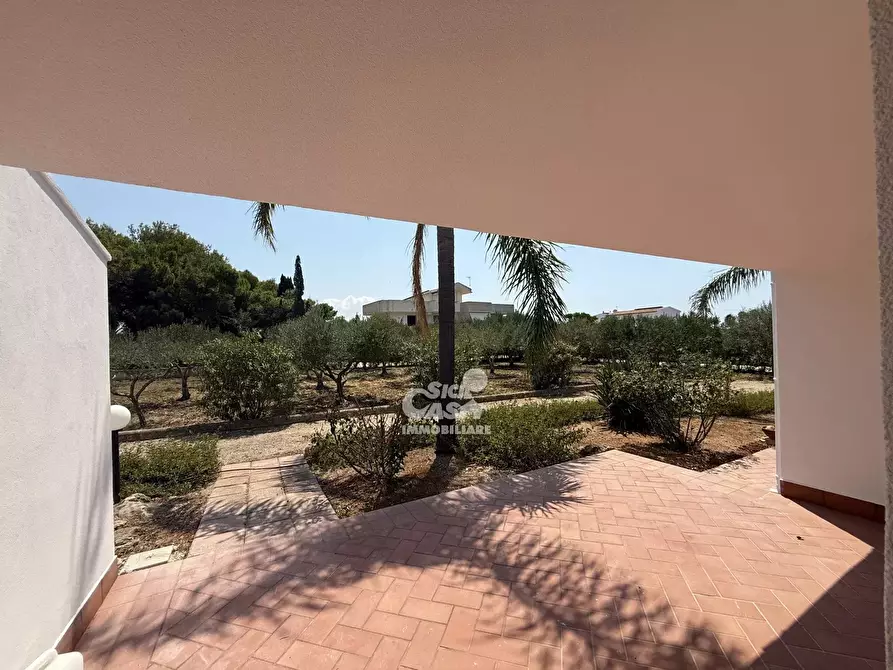 Immagine 54 di Terreno edificabile in vendita  a Marsala