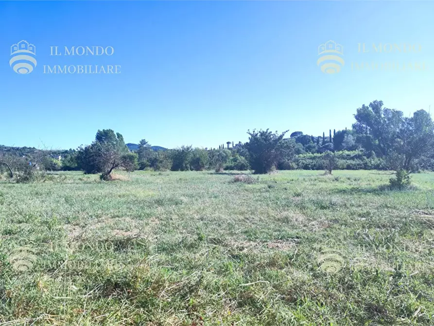 Immagine 3 di Terreno in vendita  in Località Albanetta a Palombara Sabina