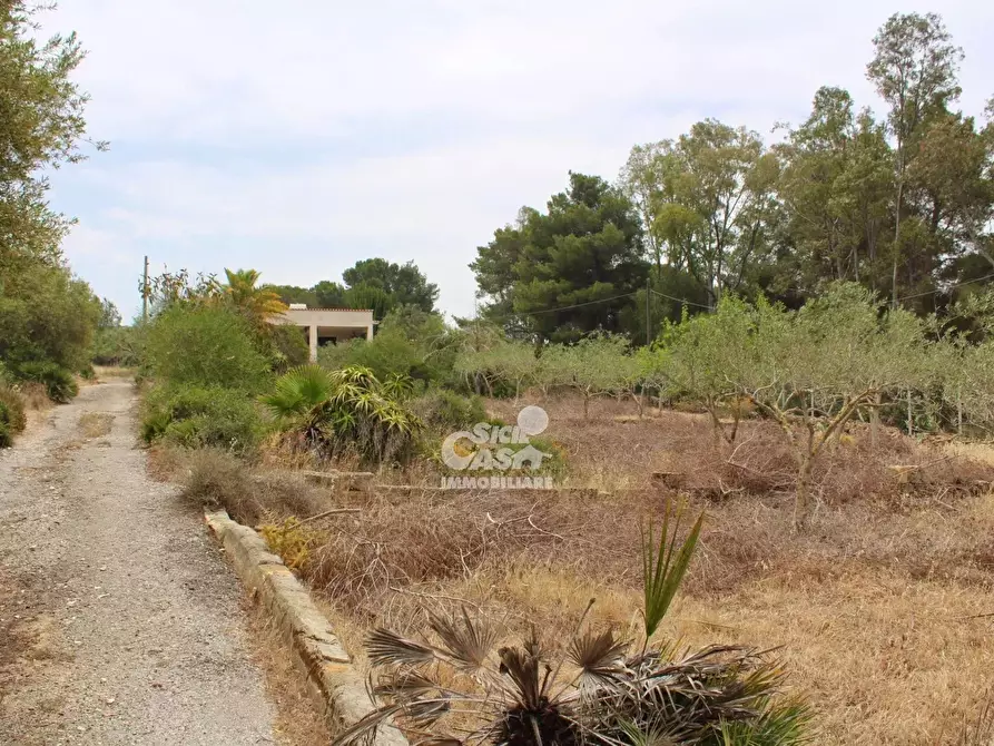 Immagine 2 di Terreno edificabile in vendita  a Marsala