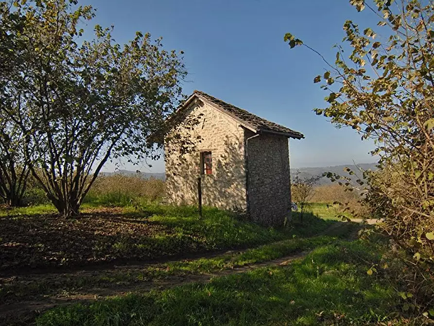 Immagine 1 di Terreno edificabile in vendita  a Albaretto Della Torre