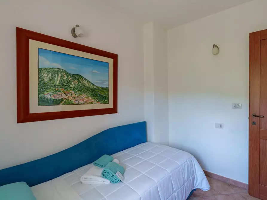 Immagine 20 di Casa trifamiliare in vendita  in Via Massimo Kolbe, 4 a Aggius