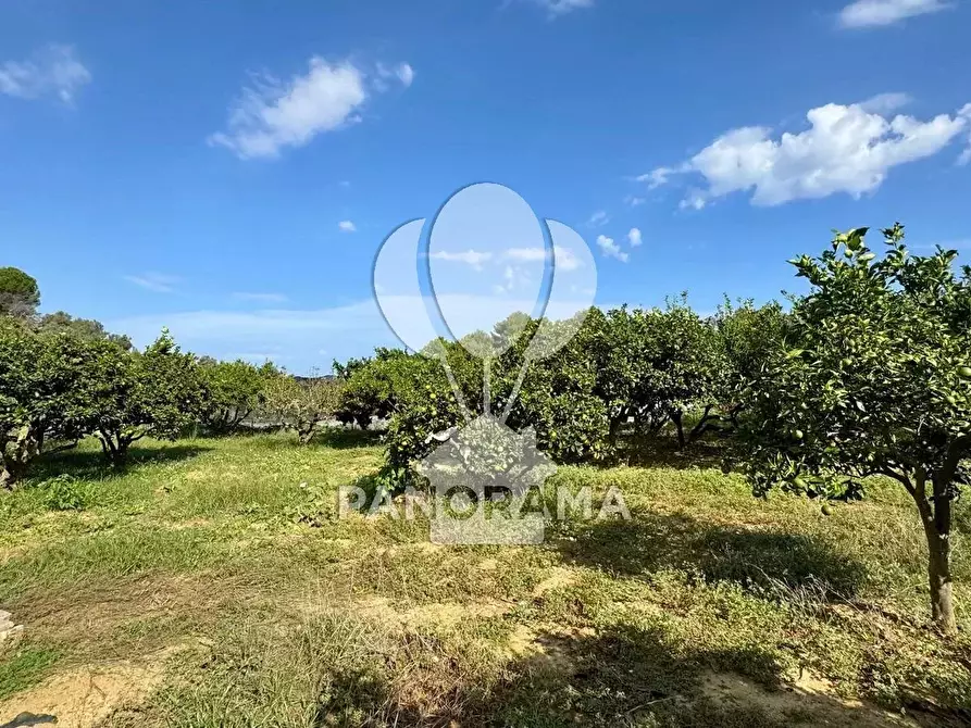 Immagine 19 di Terreno in vendita  in Contrada Timpi Rossi a Alcamo