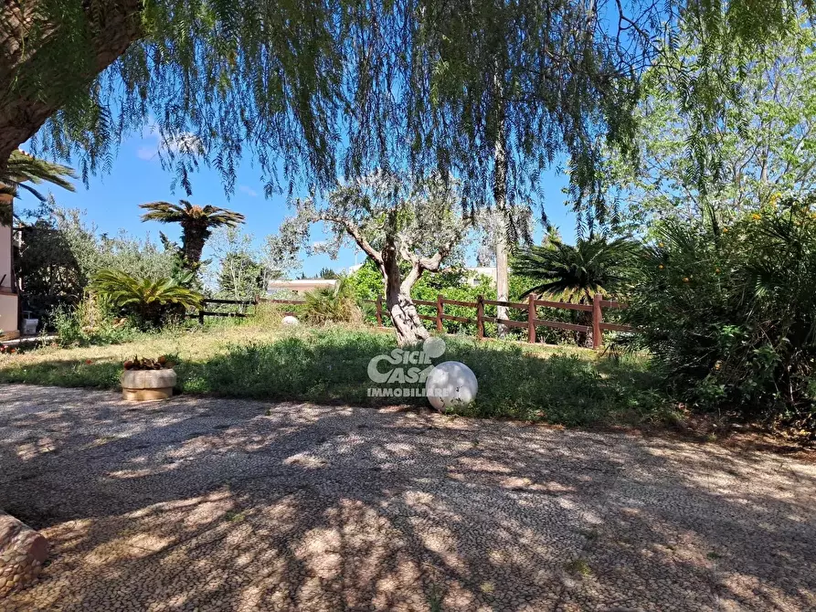 Immagine 8 di Terreno edificabile in affitto  a Marsala