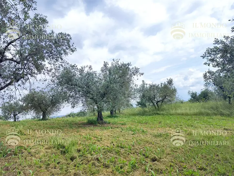 Immagine 13 di Casa bifamiliare in vendita  in Strada di Colle Fagiano a Palombara Sabina