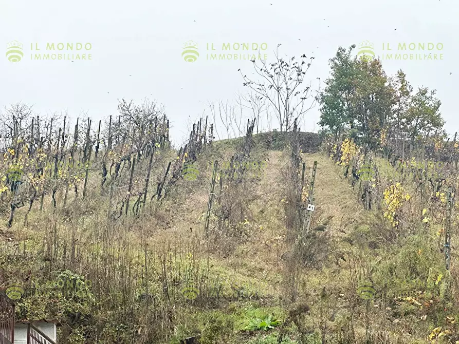 Immagine 23 di Terreno edificabile in vendita  in Località Lago, 15 a Albaredo Arnaboldi