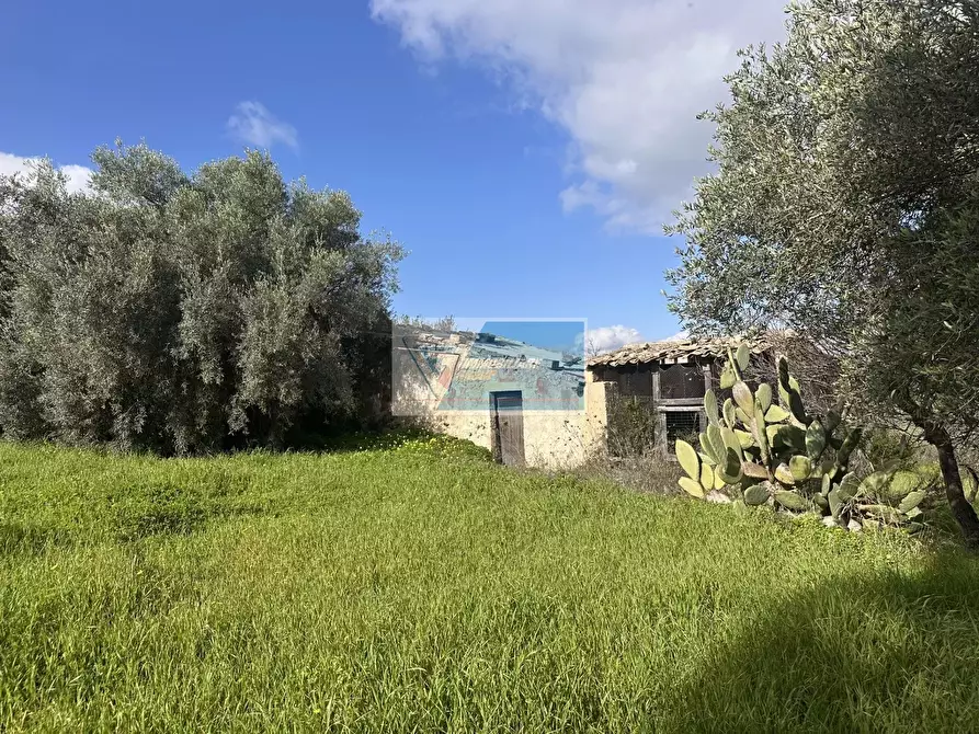 Immagine 24 di Terreno edificabile in vendita  in CONTRADA ASTRACO DI BURLò a Noto