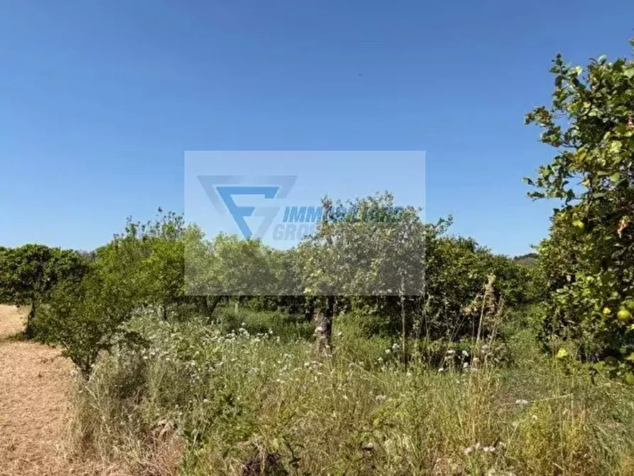 Immagine 15 di Terreno in vendita  in Strada Tremmilia a Siracusa