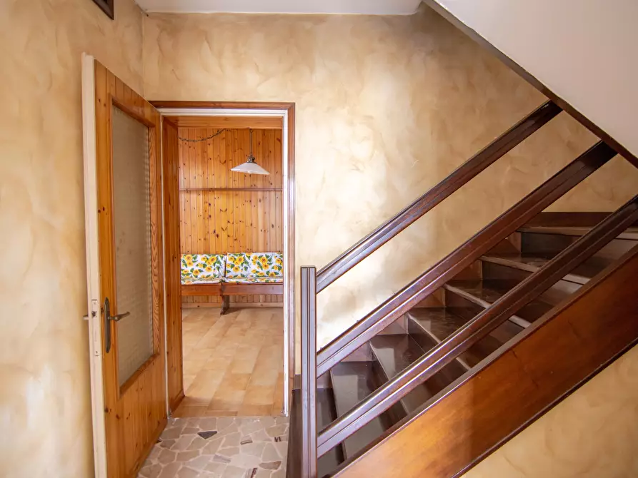 Immagine 17 di Terreno edificabile in vendita  a Campagna Lupia