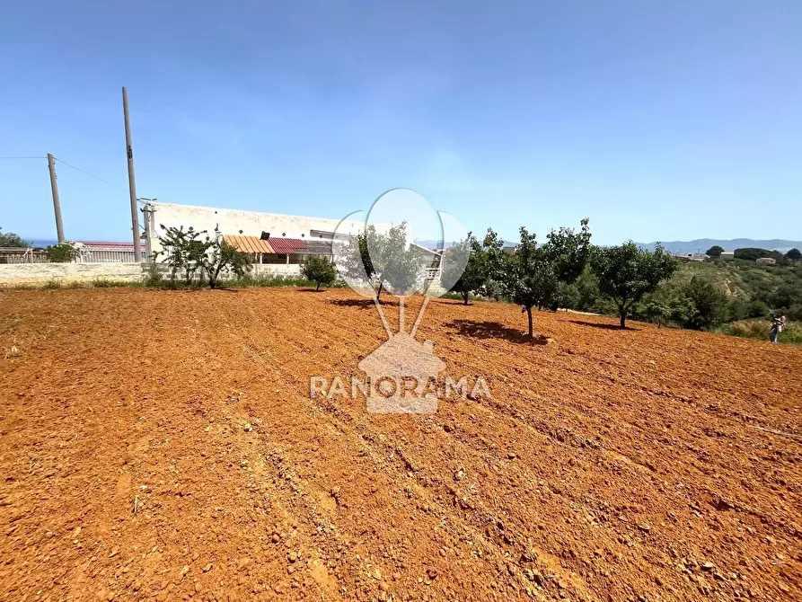 Immagine 20 di Terreno in vendita  in Contrada Vallone del Lupo a Alcamo