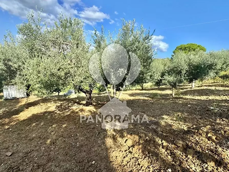 Immagine 19 di Terreno edificabile in vendita  in Contrada Casale a Alcamo