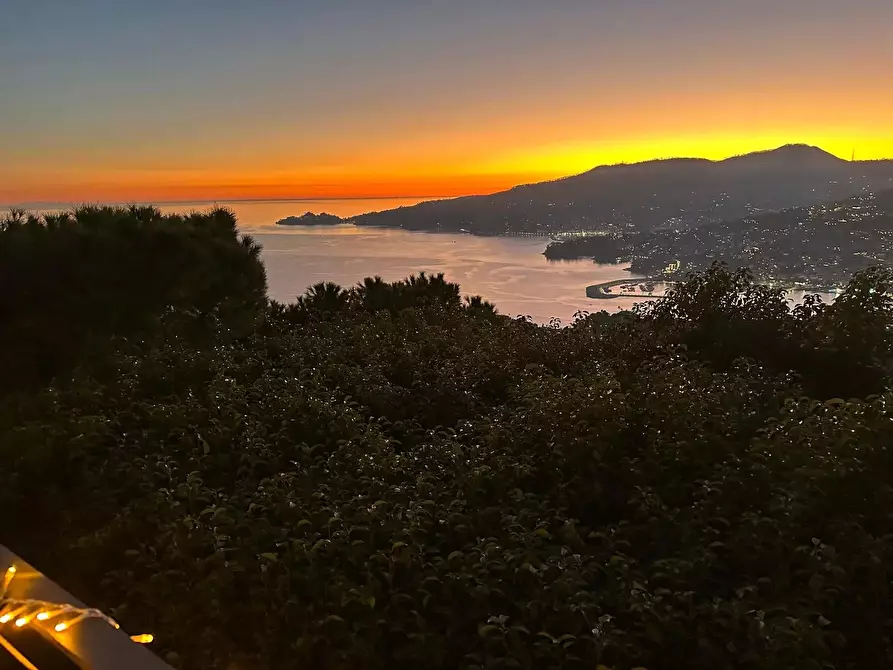 Immagine 9 di Terreno edificabile in vendita  in Via San Bernardo a Avegno