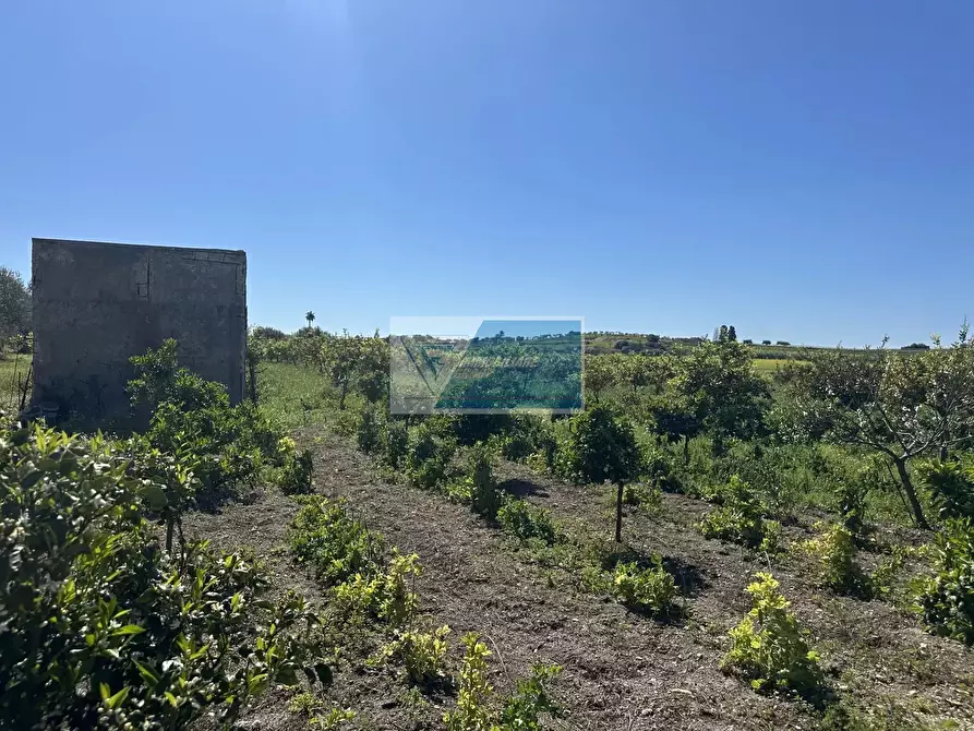 Immagine 8 di Terreno in vendita  a Noto