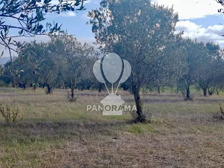 Immagine 25 di Terreno in vendita  in Contrada Manostalla a Balestrate