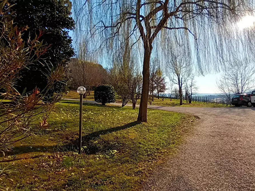 Immagine 5 di Terreno edificabile in vendita  a Refrontolo