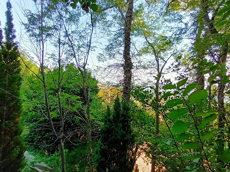 Immagine 30 di Terreno edificabile in vendita  a Sarmede