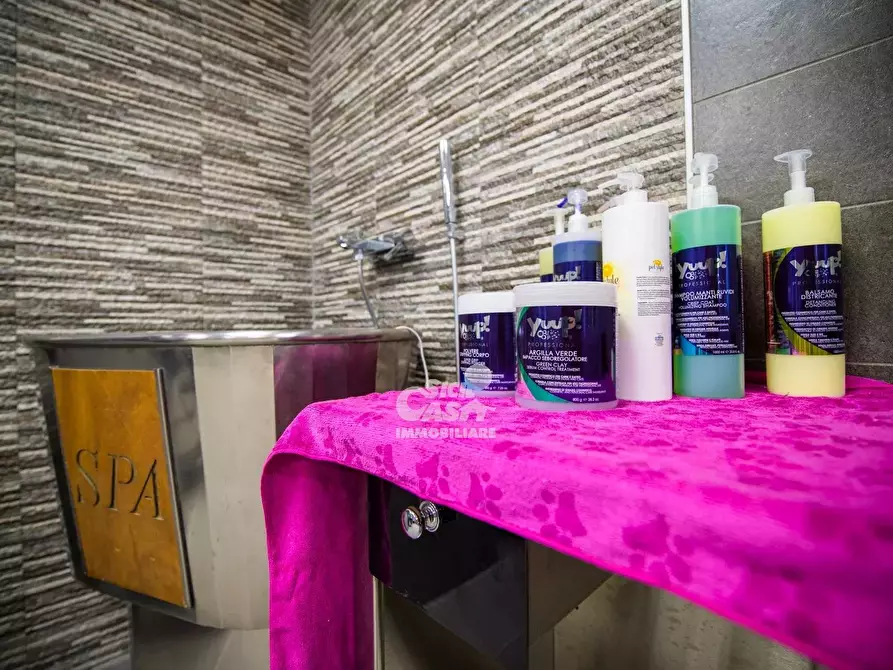 Immagine 8 di Attico in affitto  a Marsala