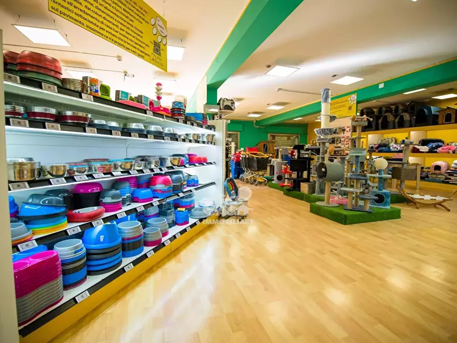 Immagine 7 di Attico in affitto  a Marsala