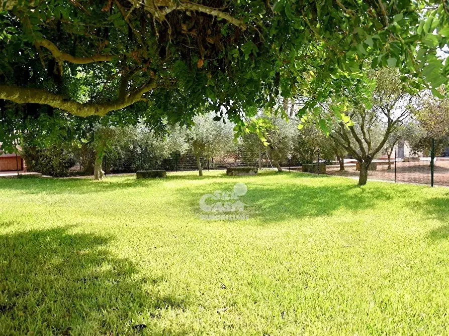 Immagine 53 di Terreno edificabile in vendita  a Marsala