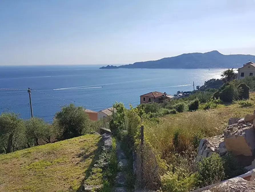 Immagine 1 di Terreno edificabile in vendita  in Sant'Andrea di Rovereto a Chiavari