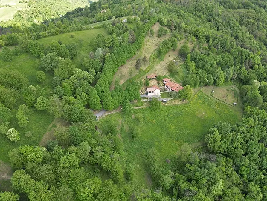 Immagine 11 di Terreno edificabile in vendita  a Barolo