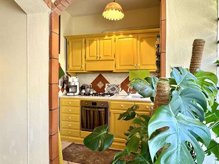 Immagine 14 di Casa trifamiliare in vendita  a Altilia