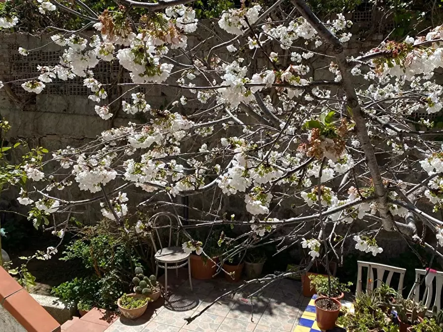 Immagine 27 di Casa trifamiliare in vendita  a Altilia