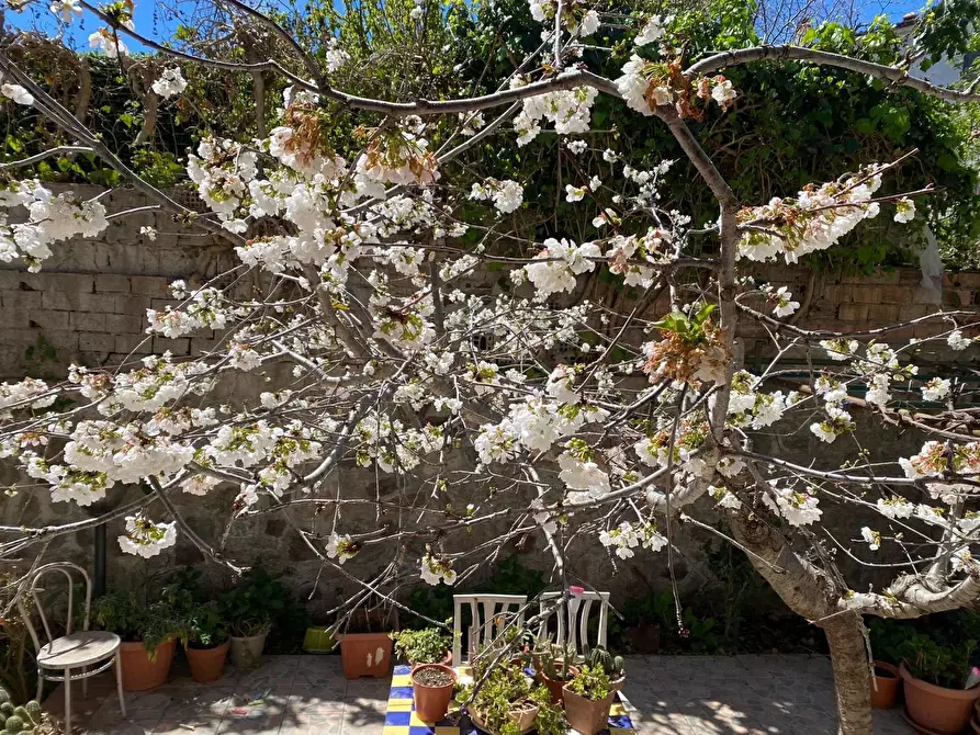 Immagine 26 di Casa trifamiliare in vendita  a Altilia