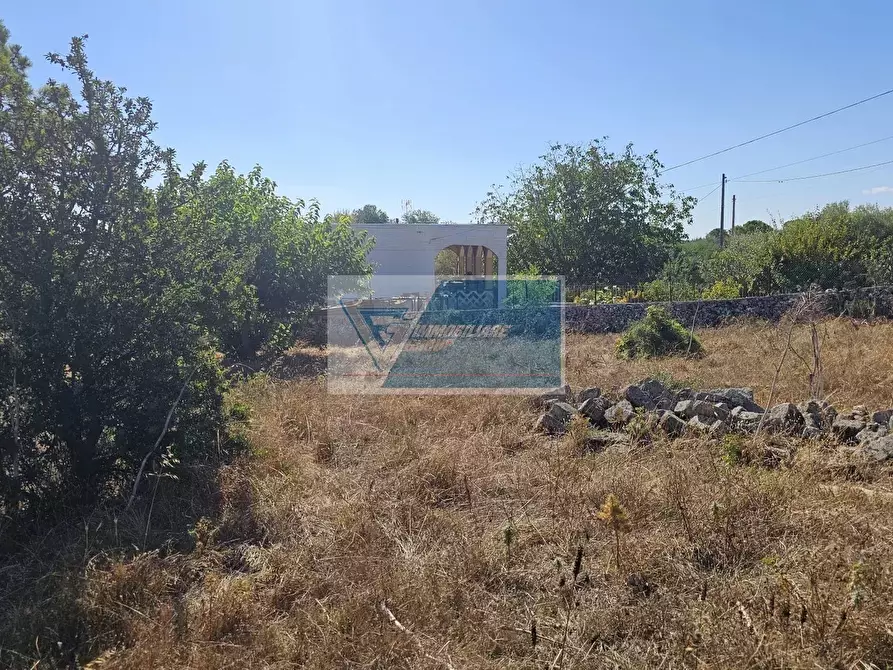 Immagine 9 di Terreno in vendita  a Avola